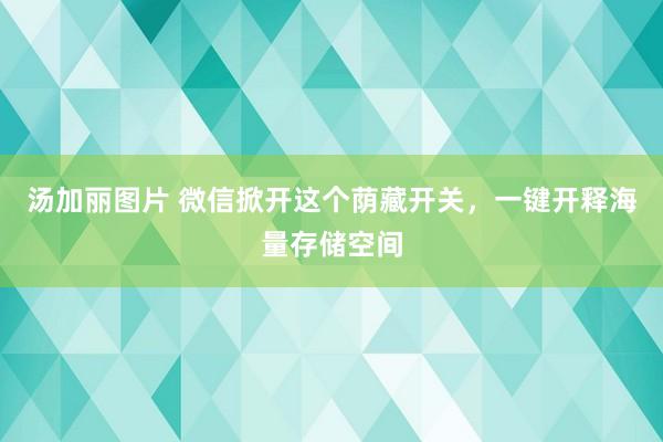 汤加丽图片 微信掀开这个荫藏开关，一键开释海量存储空间