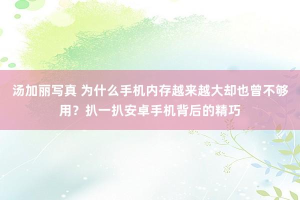 汤加丽写真 为什么手机内存越来越大却也曾不够用？扒一扒安卓手机背后的精巧