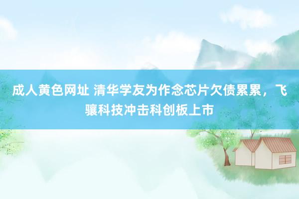 成人黄色网址 清华学友为作念芯片欠债累累，飞骧科技冲击科创板上市