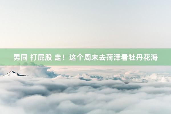 男同 打屁股 走！这个周末去菏泽看牡丹花海