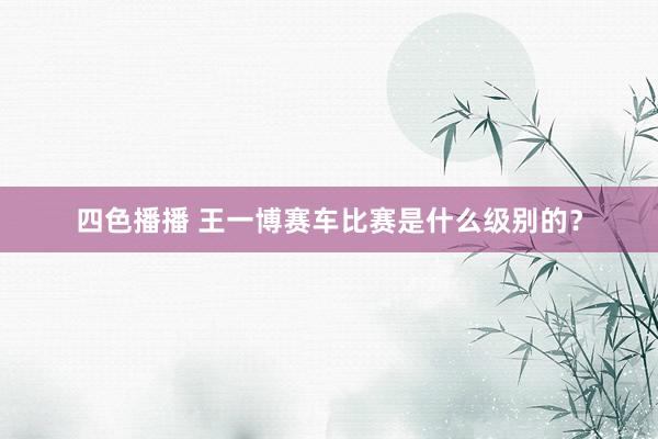 四色播播 王一博赛车比赛是什么级别的？