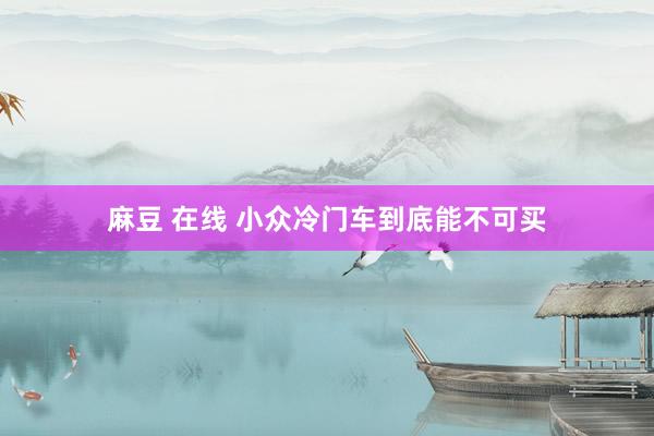 麻豆 在线 小众冷门车到底能不可买