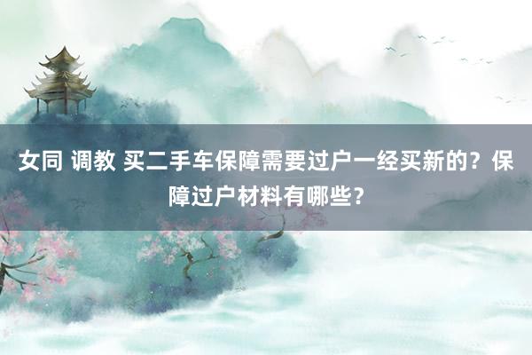 女同 调教 买二手车保障需要过户一经买新的？保障过户材料有哪些？