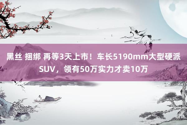 黑丝 捆绑 再等3天上市！车长5190mm大型硬派SUV，领有50万实力才卖10万