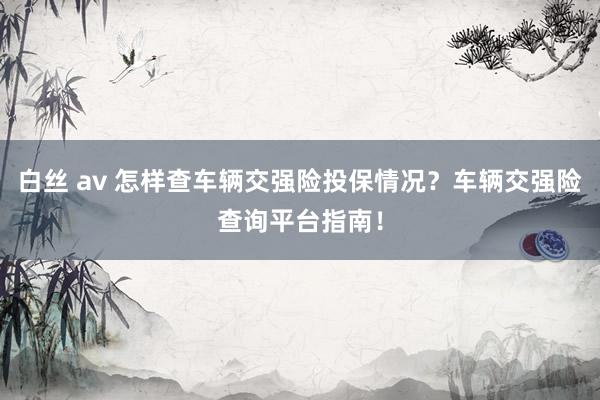 白丝 av 怎样查车辆交强险投保情况？车辆交强险查询平台指南！