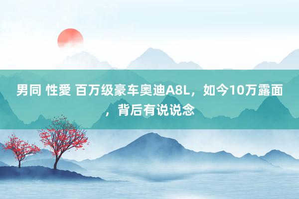 男同 性愛 百万级豪车奥迪A8L，如今10万露面，背后有说说念