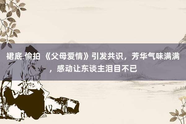 裙底 偷拍 《父母爱情》引发共识，芳华气味满满，感动让东谈主泪目不已