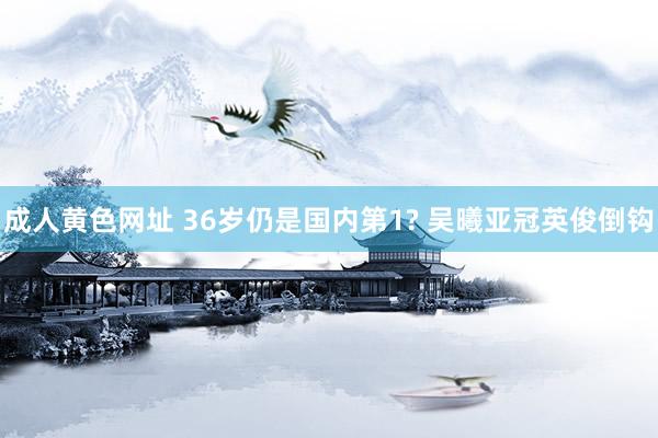 成人黄色网址 36岁仍是国内第1? 吴曦亚冠英俊倒钩