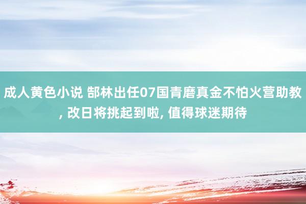 成人黄色小说 郜林出任07国青磨真金不怕火营助教, 改日将挑起到啦, 值得球迷期待