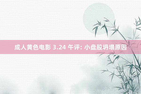 成人黄色电影 3.24 午评: 小盘股坍塌原因
