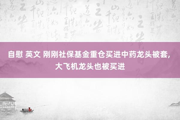 自慰 英文 刚刚社保基金重仓买进中药龙头被套, 大飞机龙头也被买进