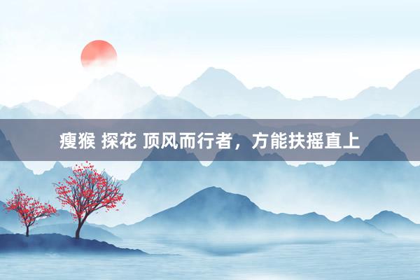 瘦猴 探花 顶风而行者，方能扶摇直上