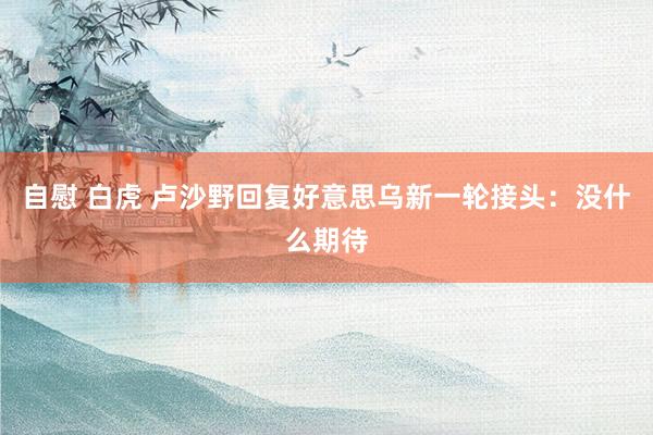 自慰 白虎 卢沙野回复好意思乌新一轮接头：没什么期待