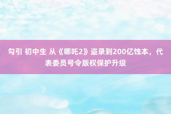 勾引 初中生 从《哪吒2》盗录到200亿蚀本，代表委员号令版权保护升级